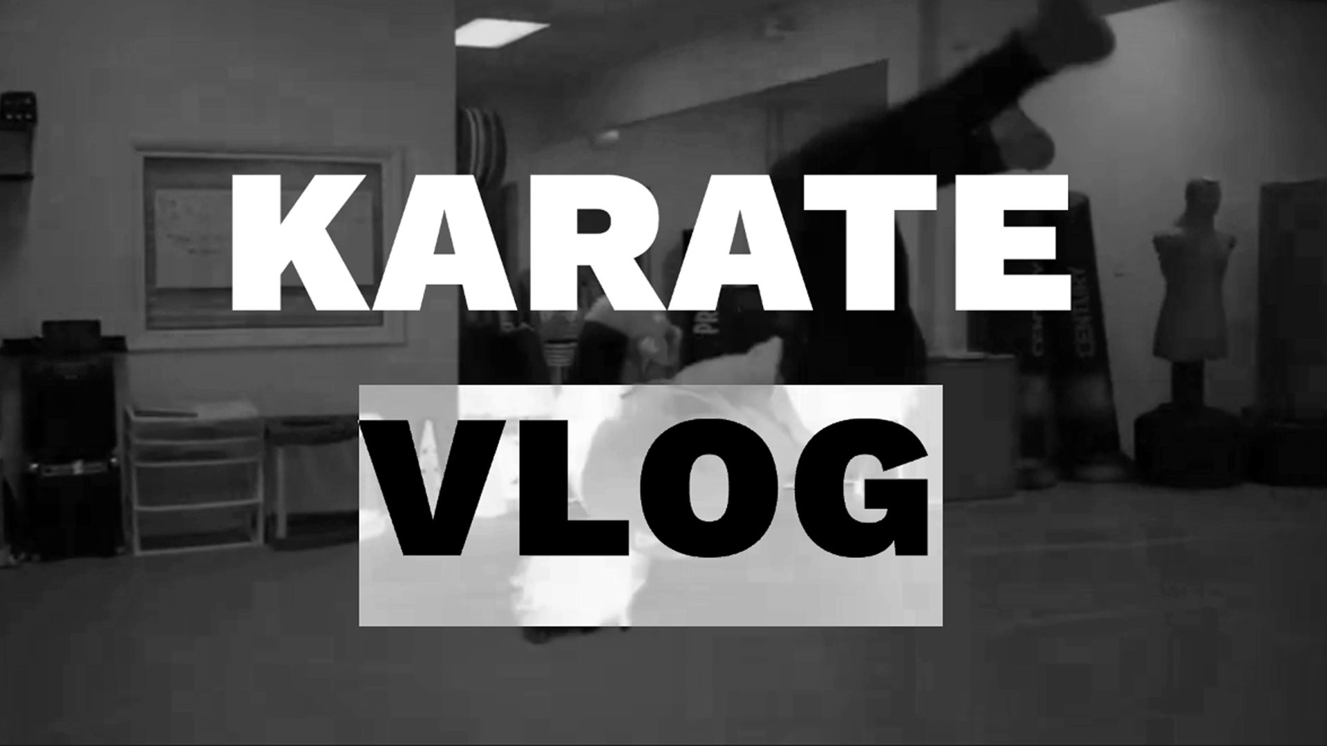 Karate Vlog